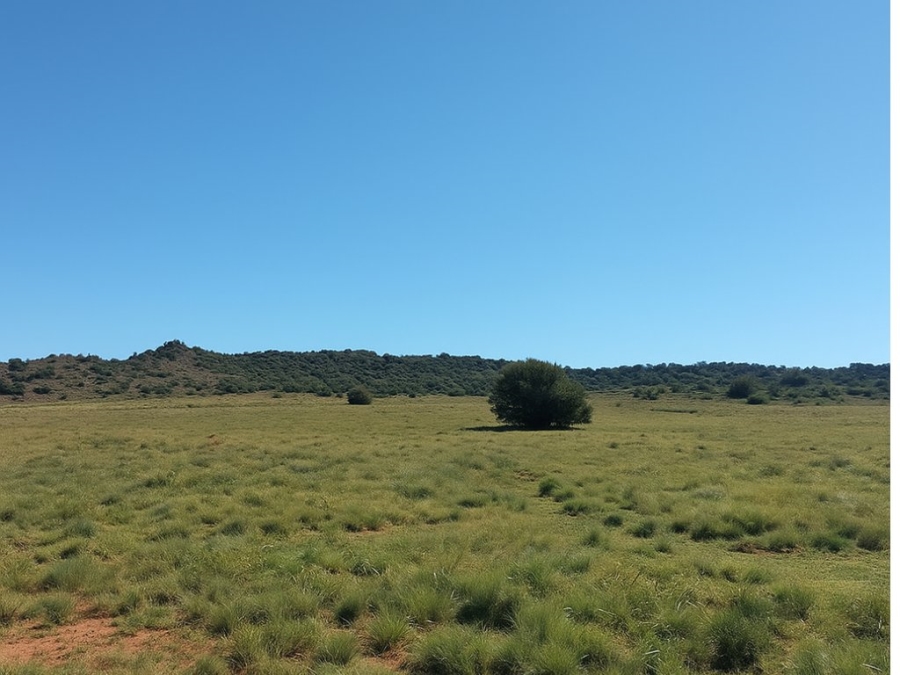 4 Bedroom Property for Sale in Bloemfontein Rural Free State